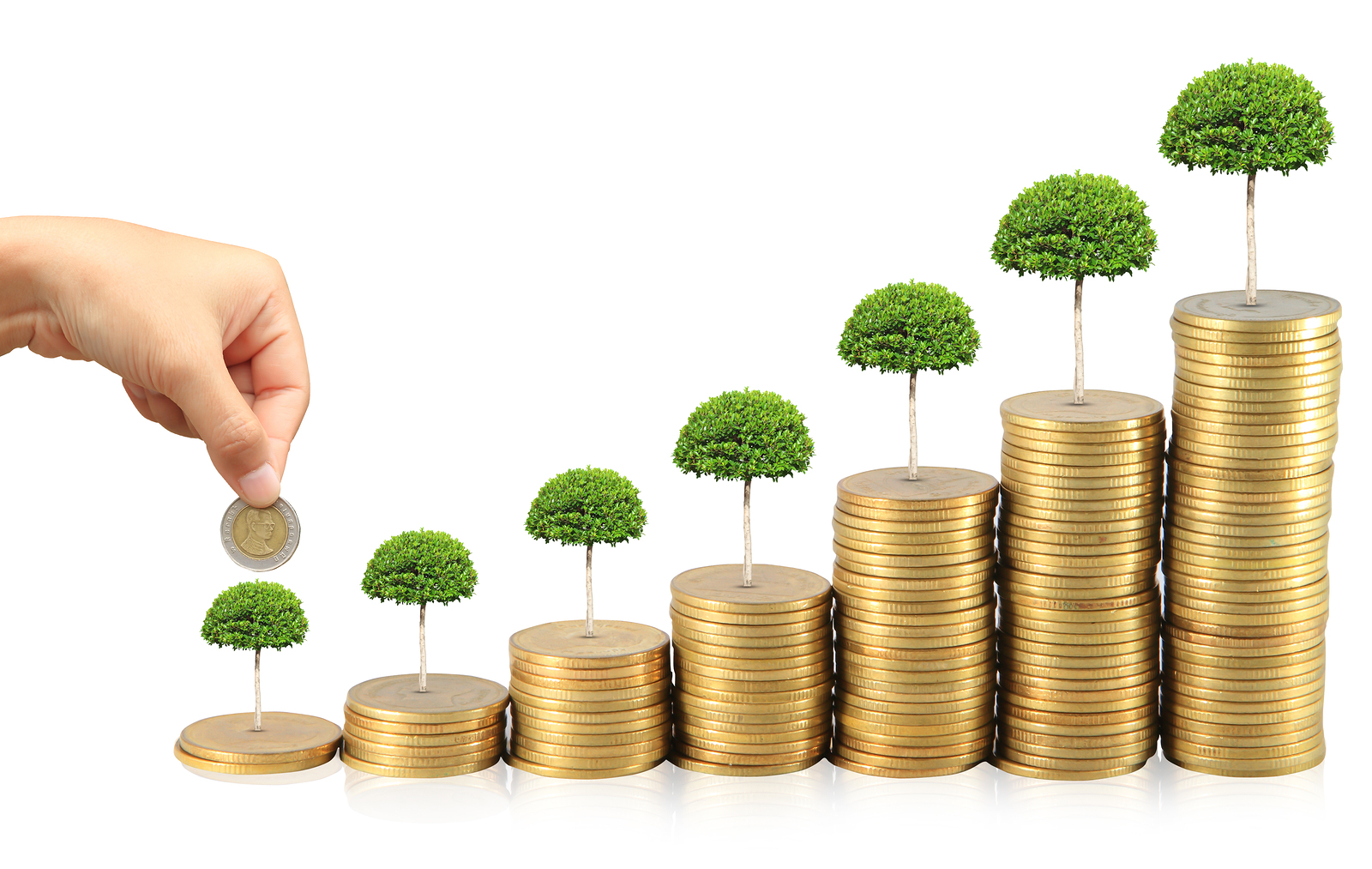 wealth coaching indonesia wealth coaching indonesia